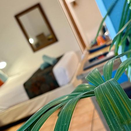 Rainforest Motel Mission Beach Exterior foto