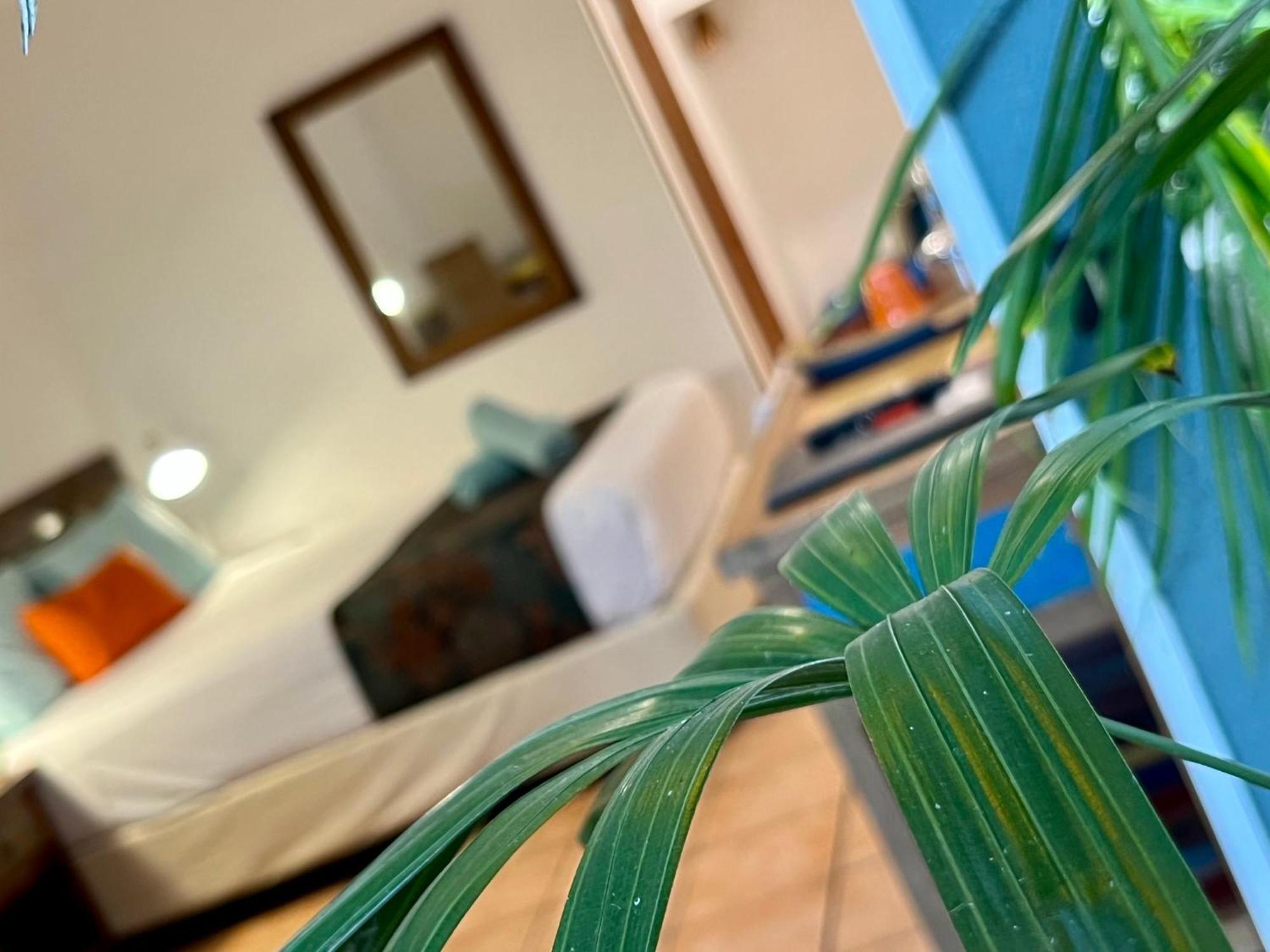 Rainforest Motel Mission Beach Exterior foto